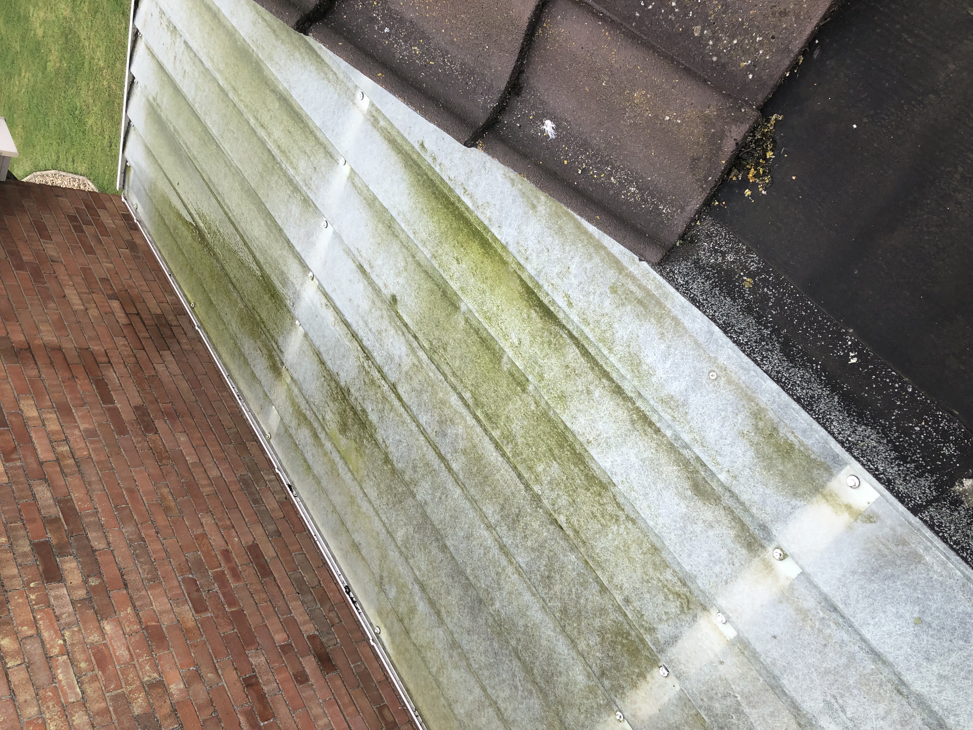 Conservatory Roof Before Cleaning