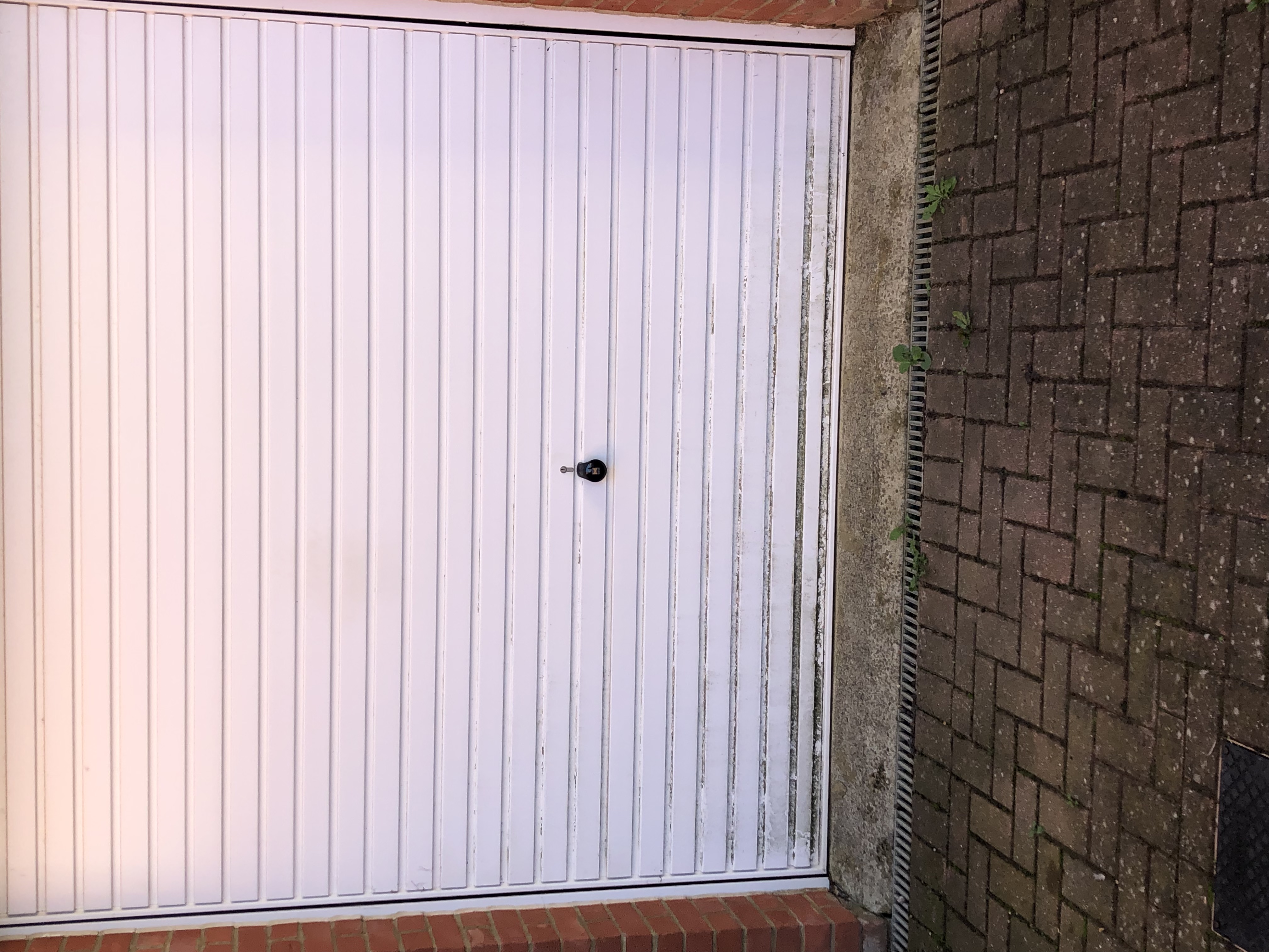 Garage Door Before Cleaning